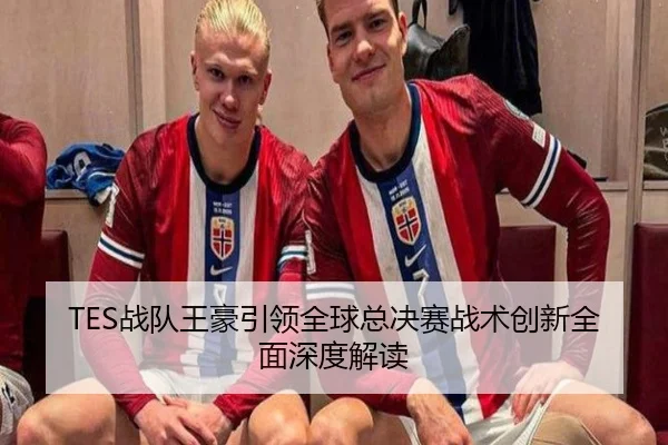 TES战队王豪引领全球总决赛战术创新全面深度解读（LEYU SPORTS）